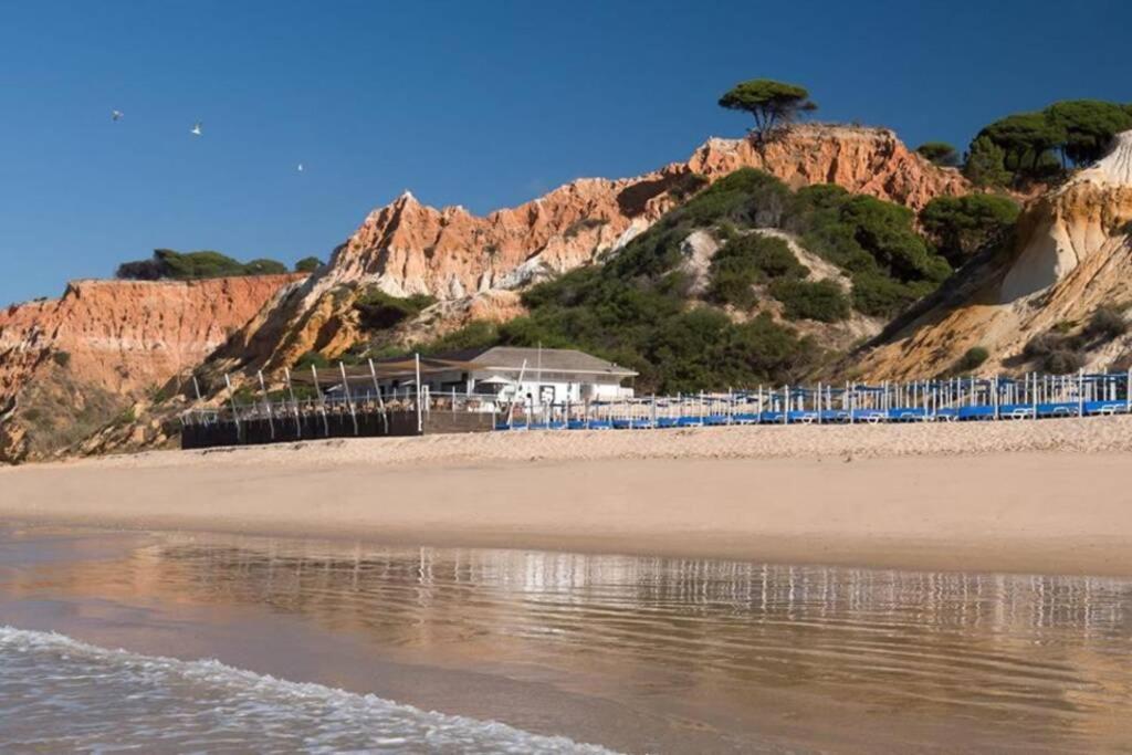 Pool And Garden Village-Near Beach Albufeira Exterior foto